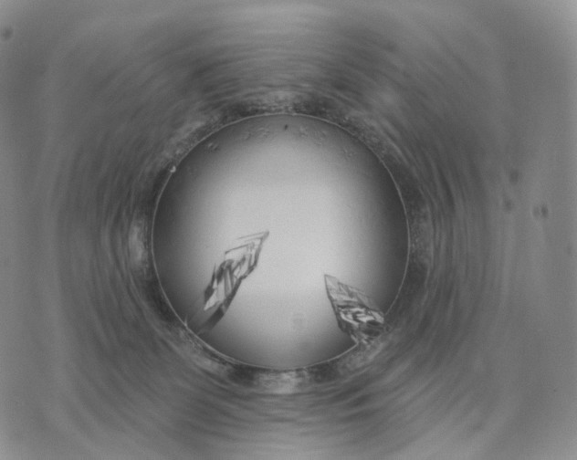 X0000074260131200609151811