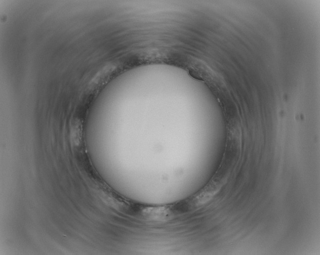 X0000074260133200609151811