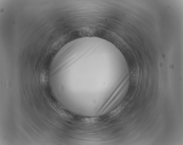 X0000074260134200609151811