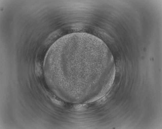 X0000074260136200609151811