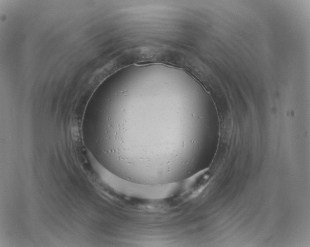 X0000074260137200609151811