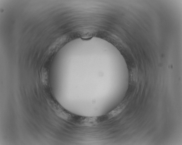 X0000074260138200609151811