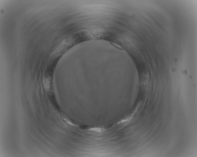 X0000074260139200609151811