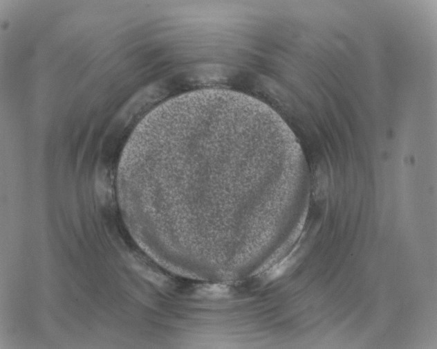 X0000074260140200609151811