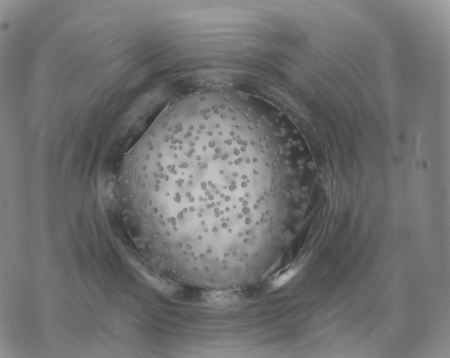 X0000074260141200609151811