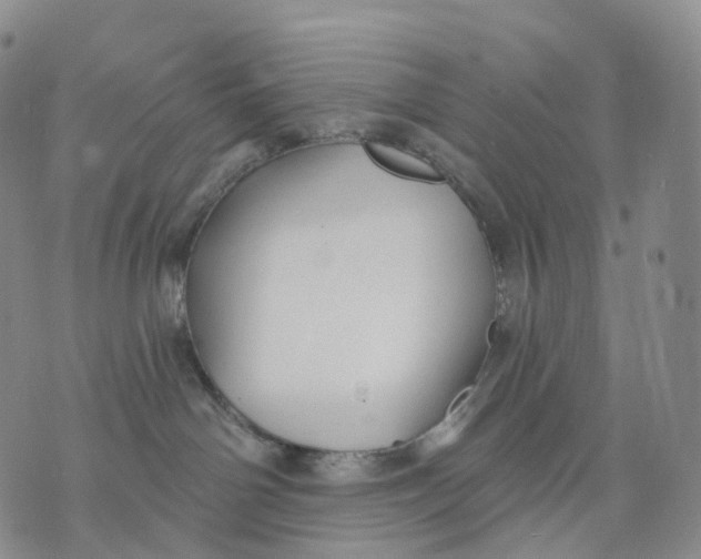 X0000074260142200609151811