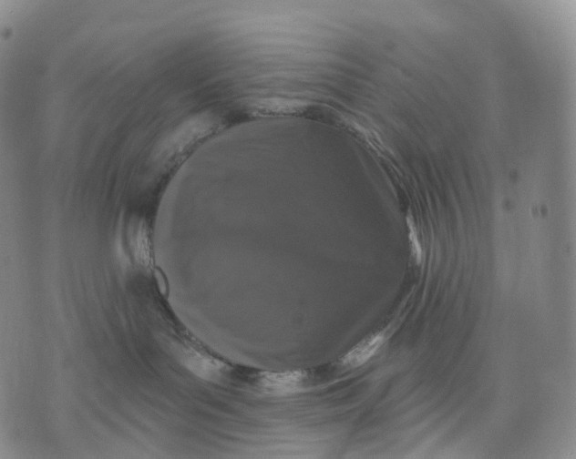 X0000074260143200609151810