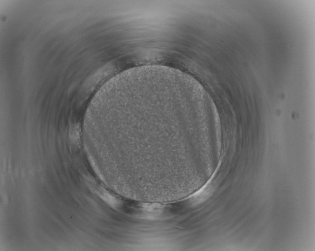 X0000074260144200609151810