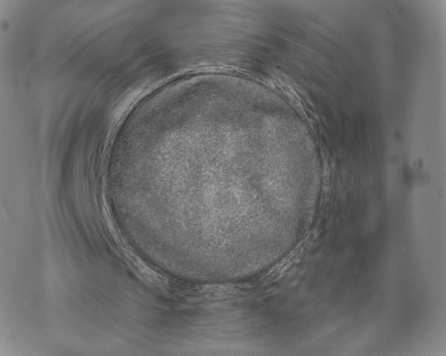 X0000074260145200609151810