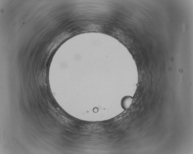 X0000074260146200609151810