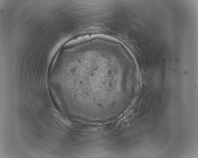 X0000074260147200609151810