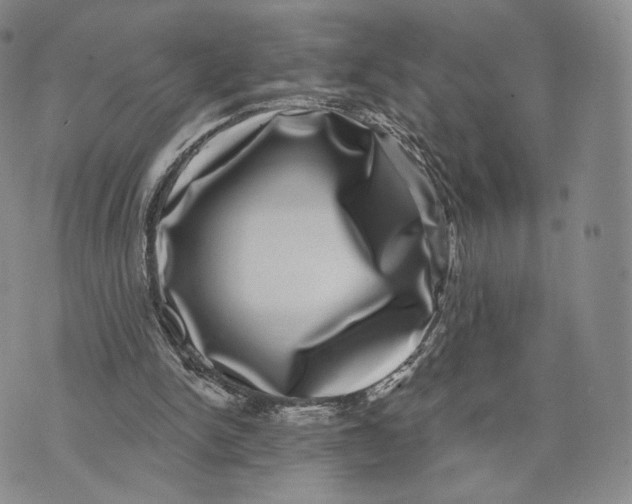 X0000074260150200609151810