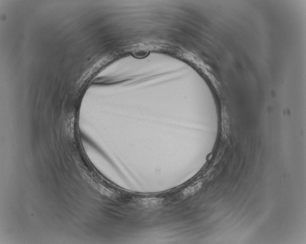 X0000074260153200609151810