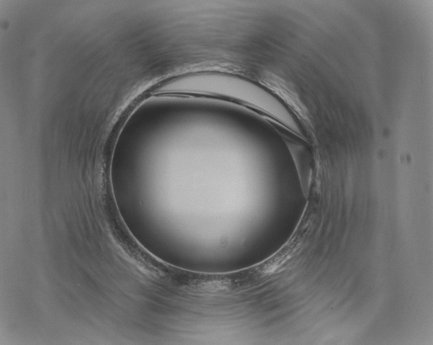 X0000074260156200609151810