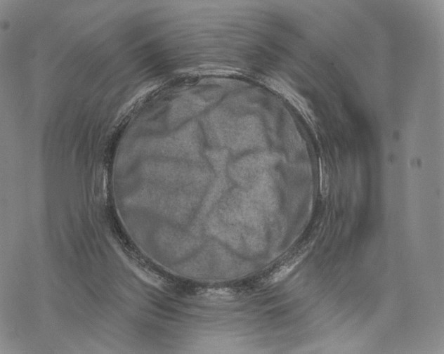 X0000074260157200609151810