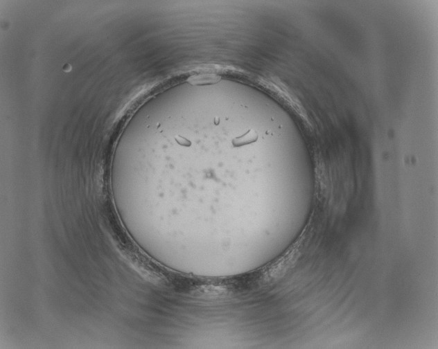 X0000074260159200609151810