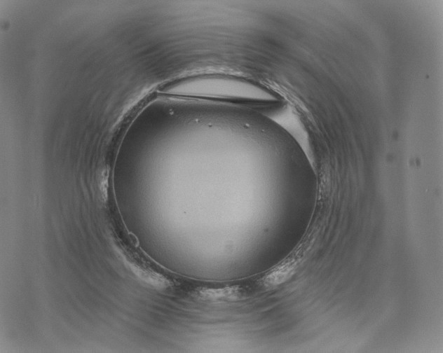 X0000074260160200609151810