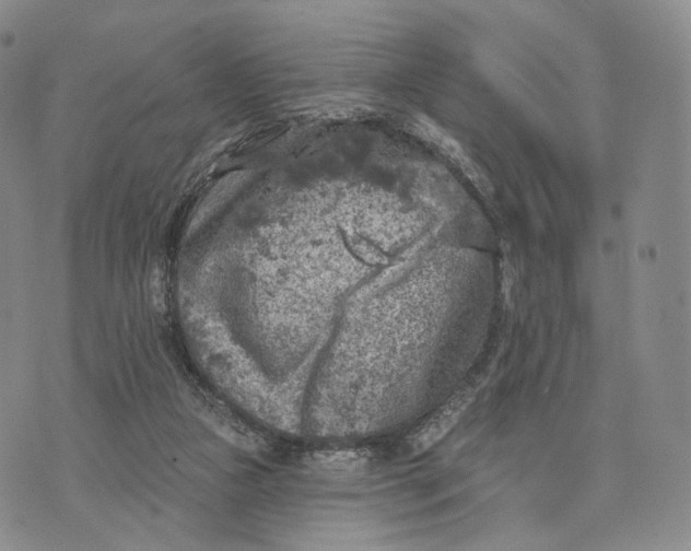 X0000074260161200609151810