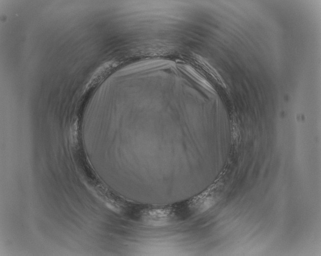 X0000074260163200609151810