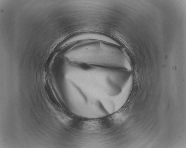 X0000074260164200609151810