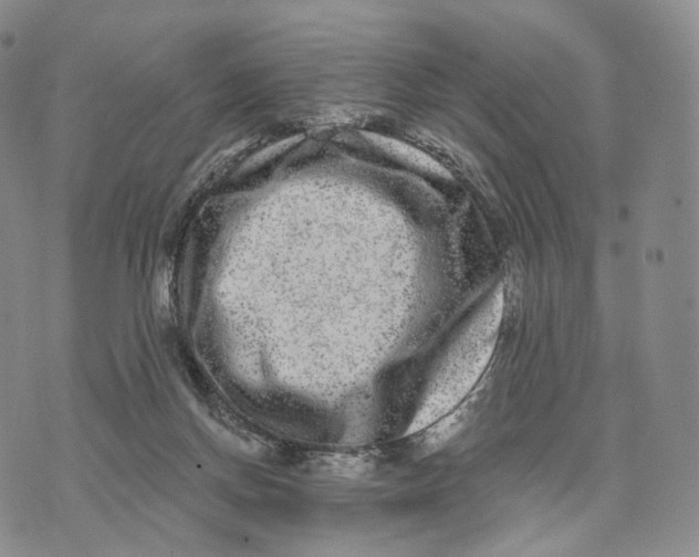 X0000074260166200609151810