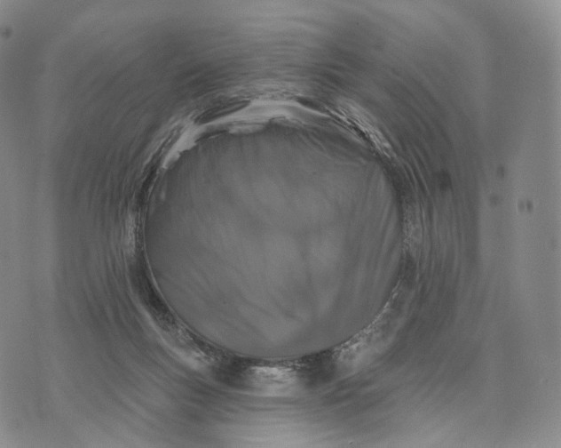 X0000074260167200609151810