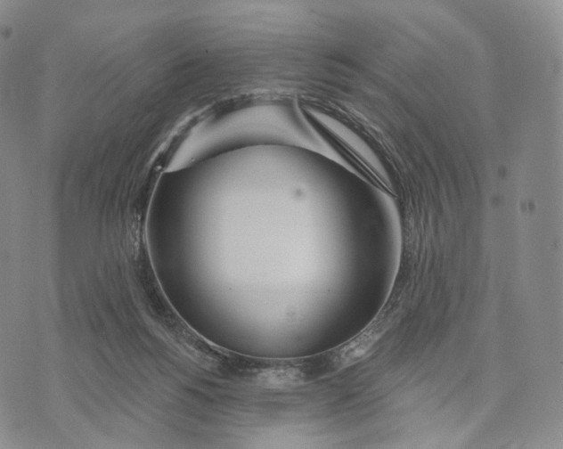 X0000074260168200609151810