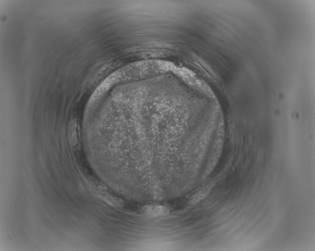 X0000074260169200609151810