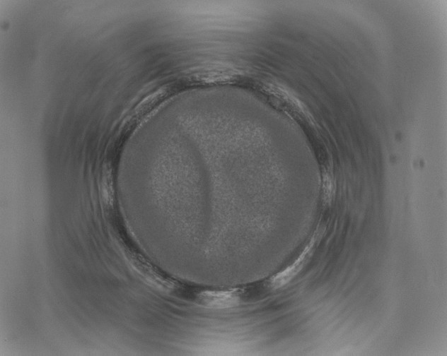 X0000074260170200609151810