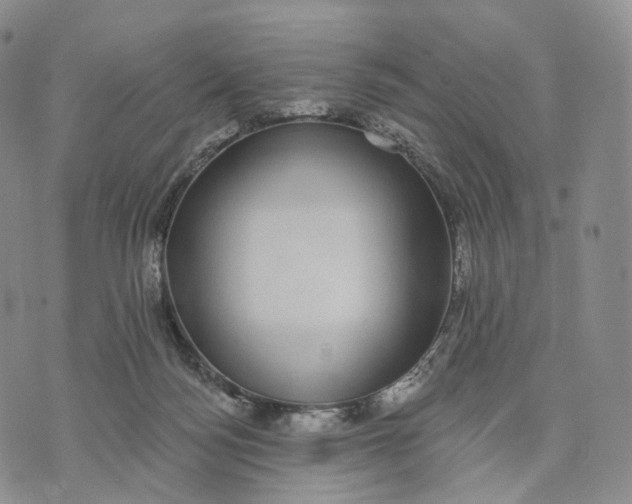 X0000074260172200609151810