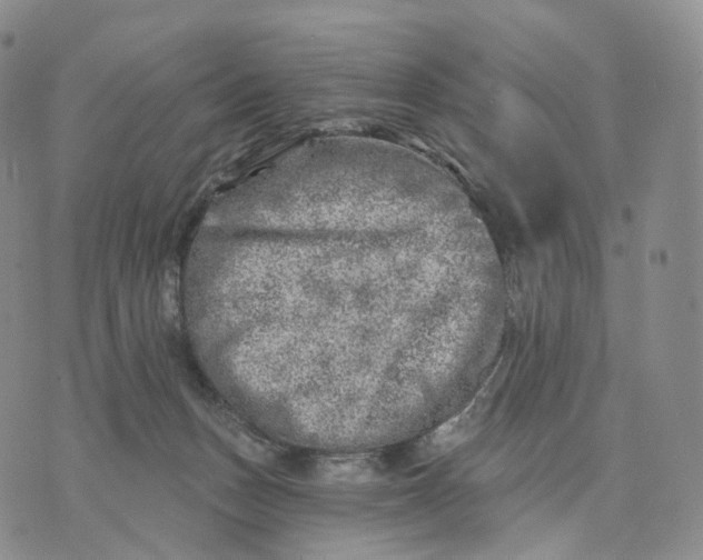 X0000074260175200609151810