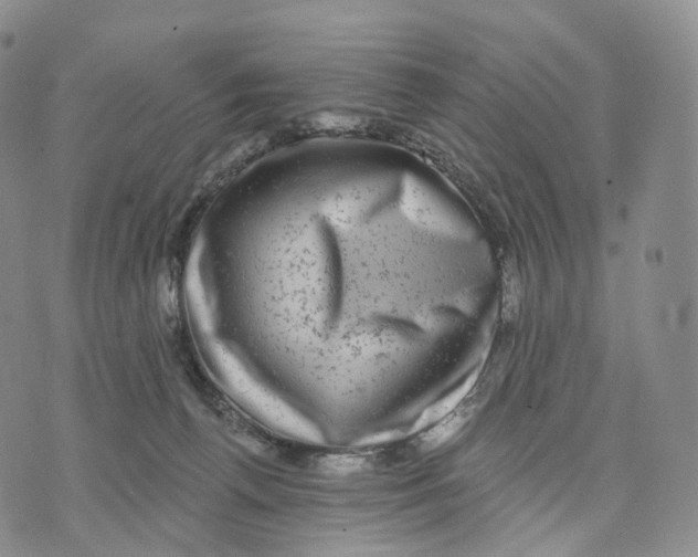 X0000074260176200609151810