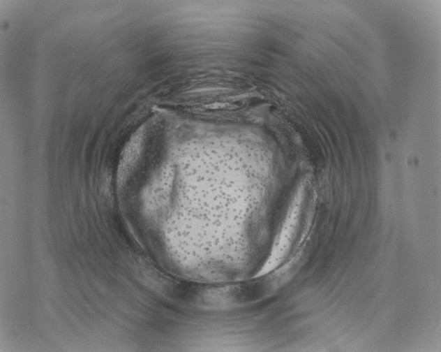 X0000074260178200609151810