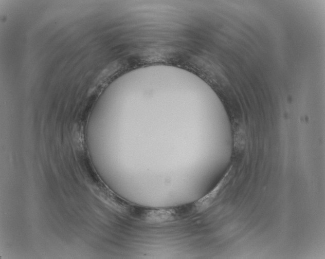 X0000074260179200609151810