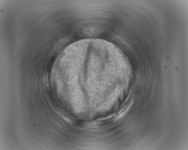 X0000074260182200609151810