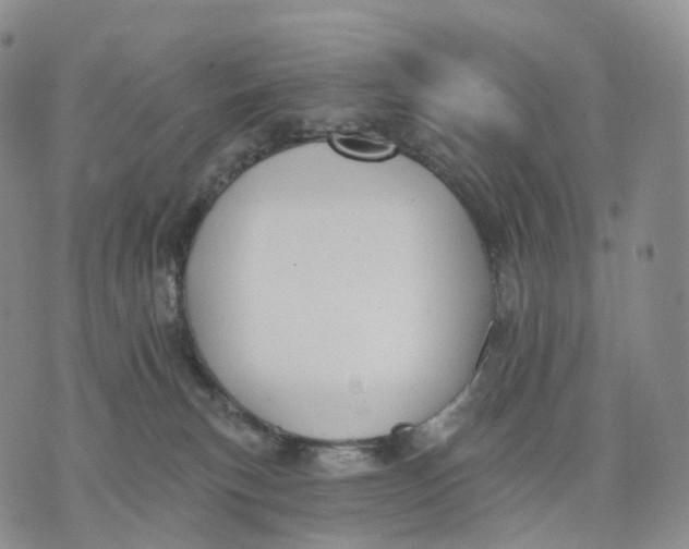 X0000074260183200609151810