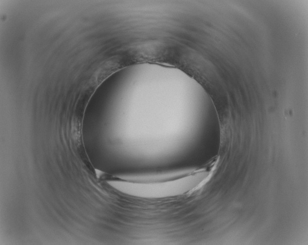 X0000074260186200609151810