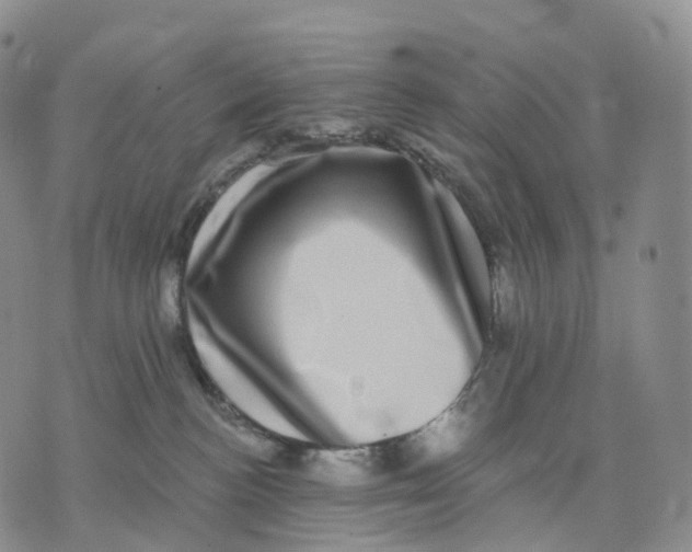 X0000074260188200609151810