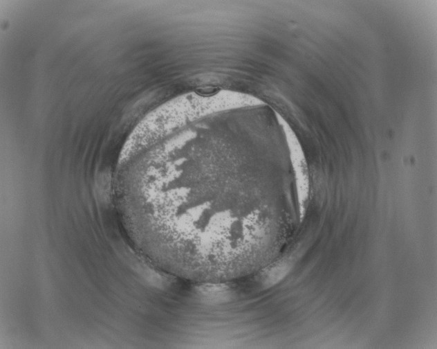 X0000074260189200609151810