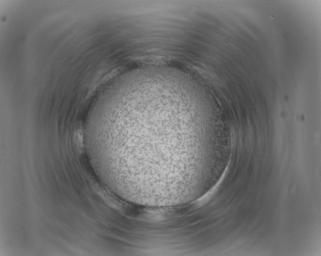 X0000074260190200609151810