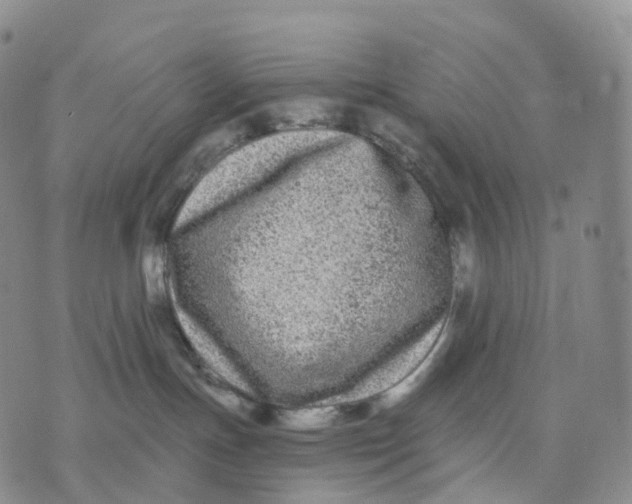 X0000074260191200609151810