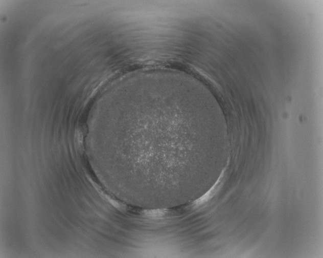 X0000074260192200609151810