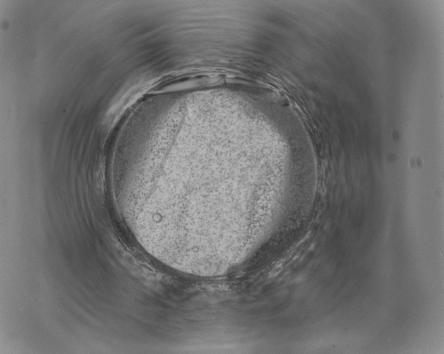 X0000074260194200609151810