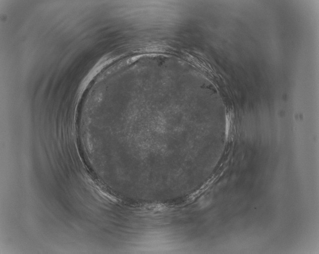 X0000074260195200609151810