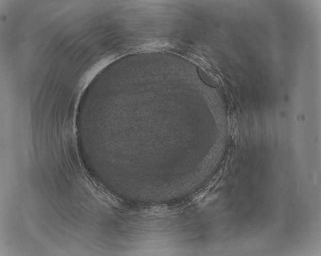 X0000074260196200609151810