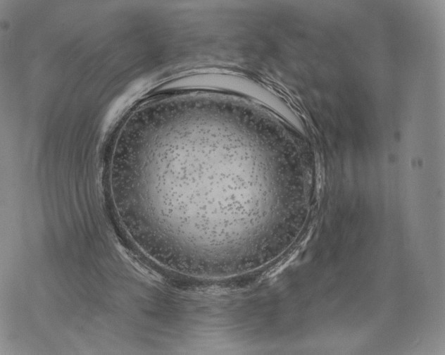 X0000074260197200609151810