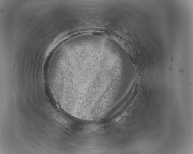 X0000074260198200609151810