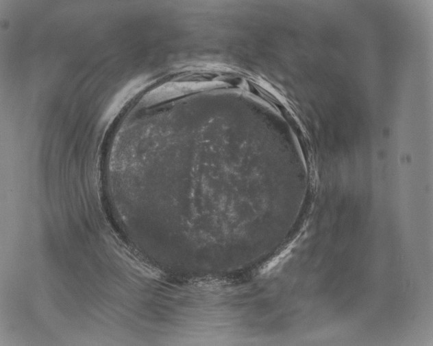 X0000074260199200609151810