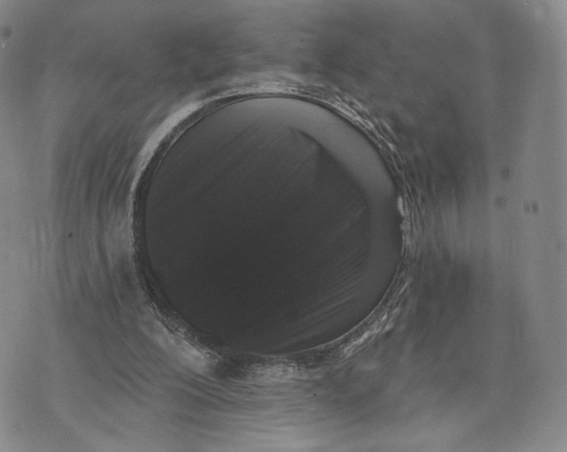 X0000074260200200609151810