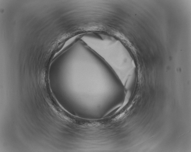 X0000074260201200609151810